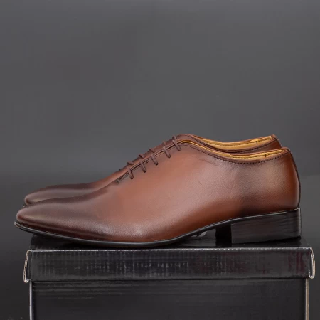 Cipele za muškarce PB024 Smeđa | Elion
