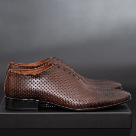 Cipele za muškarce PB026 Smeđa | Elion