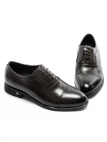 Pantofi Barbati F066-023 Coffee (C26) Stephano